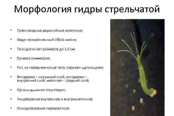 Kra46.cc Вход на сайт главная страница